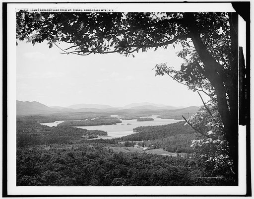 Lower Saranac Lake from Mt. Pisgah, Adirondack Mts., N.Y.
