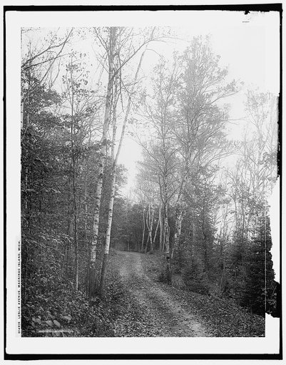 Leslie Avenue, Mackinac Island, Mich.