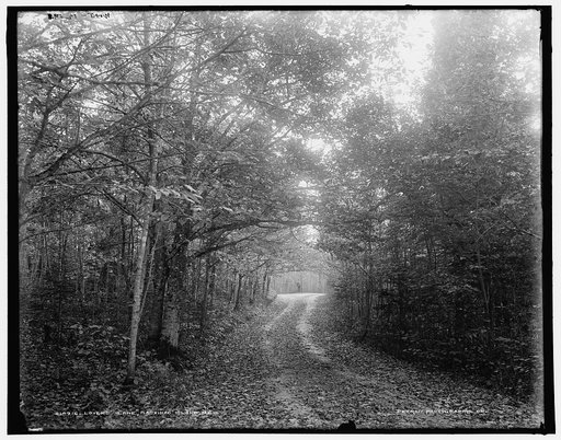 Lovers' Lane, Mackinac Island, Mich.