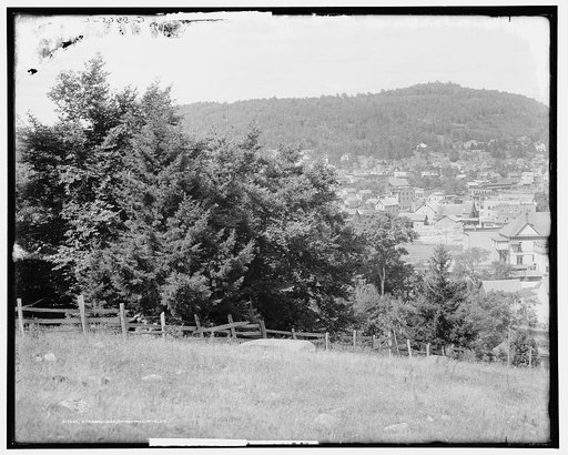 Saranac Lake, Adirondack Mts., N.Y.