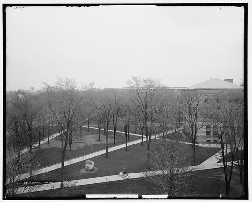 Campus, U. of M., Ann Arbor, Mich