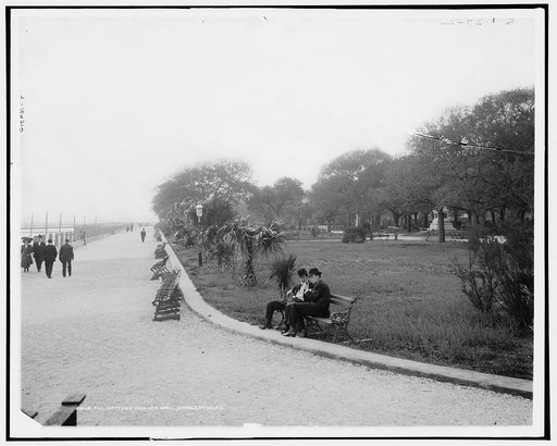 The Battery and sea wall, Charleston, S.C.