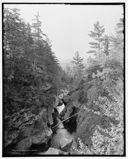 In Cavendish gorge, Vt.