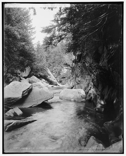 Looking out of Cavendish gorge, Vt.