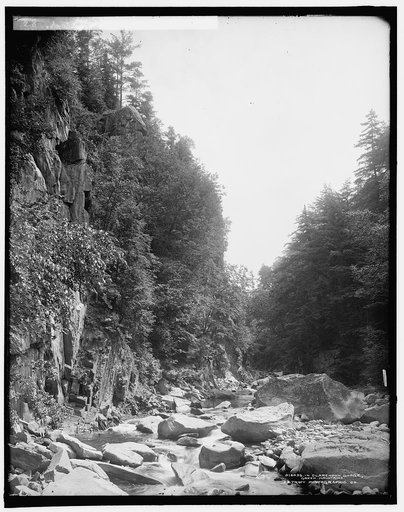In Clarendon Gorge, Green Mountains