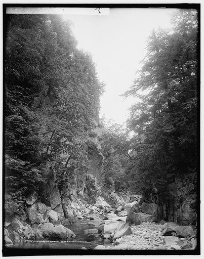 In Clarendon Gorge, Green Mountains
