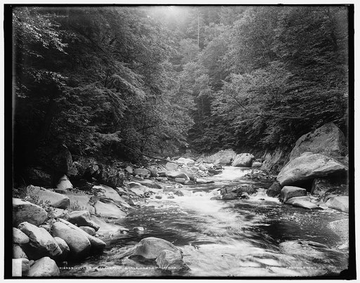 Outlet of Clarendon Gorge, Green Mountains