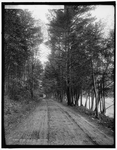 Along the shore, Lake Dunmore, Green Mountains
