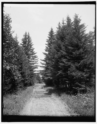 On the road to Silver Lake, Green Mountains