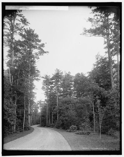 Driveway, Shelburne Farms, Vt.