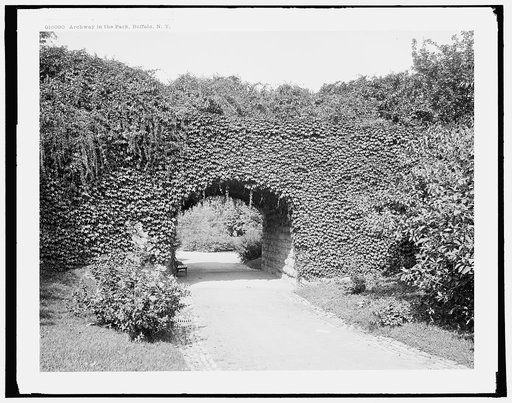 Archway in the park, Buffalo, N.Y.