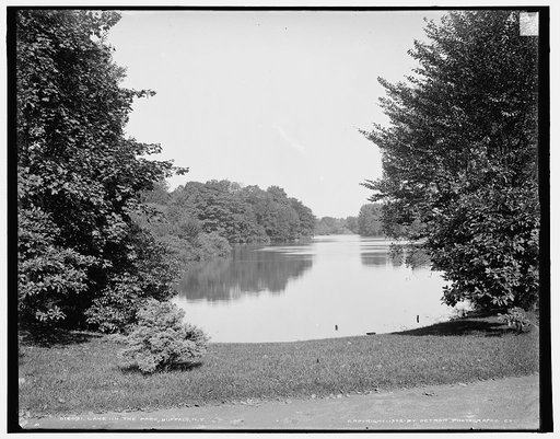 Lake in the park, Buffalo, N.Y.