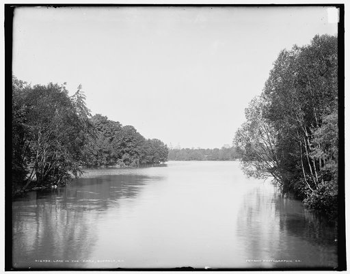 Lake in the park, Buffalo, N.Y.