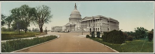 The Capitol, Washington, D.C.