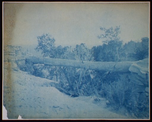 Petrified (Tree Bridge Near Adamana, N.M. [sic])