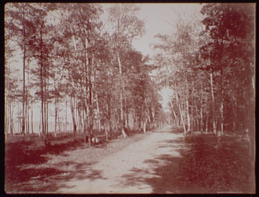 The Drive, Presque Isle. Near Marquette Mich.