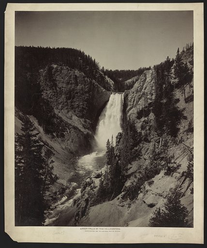 Lower Falls of Yellowstone