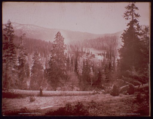 Wawona from the hill
