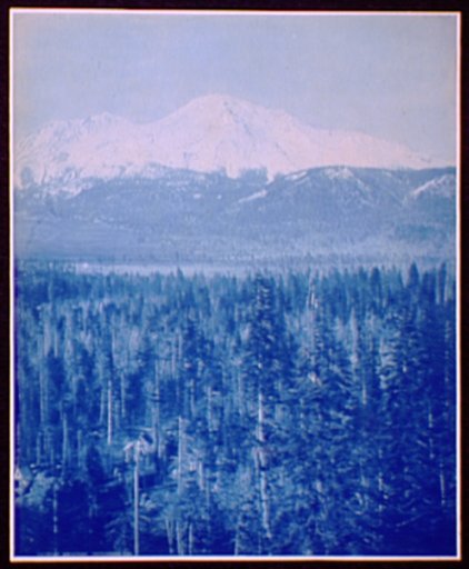 Mt. Shasta, Ca.
