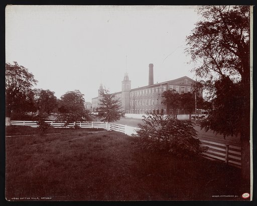 Cotton mills, Natchez