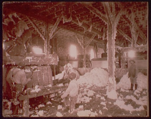 Cotton Gin at Dahomey