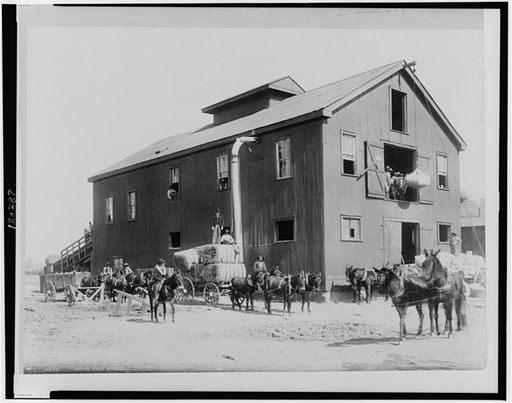 Cotton Gin at Dahomey