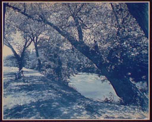 By the Swannanoa, near Asheville, N.C.