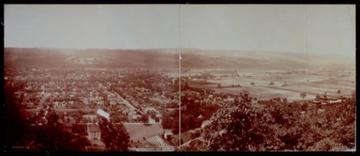 Dansville, N.Y.