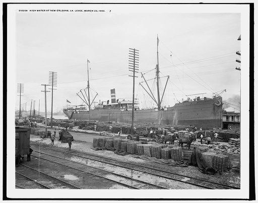 High water at New Orleans, La., levee, March 23, 1903