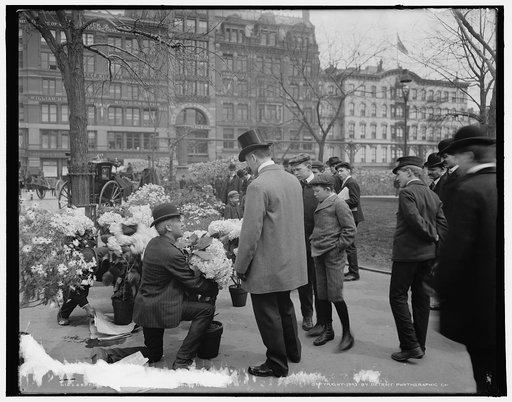 Flower vender [i.e. vendor] making a sale, [Union Square Park], New York