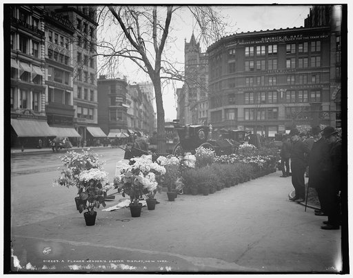 A Flower vender's [i.e. vendor's] Easter display, New York