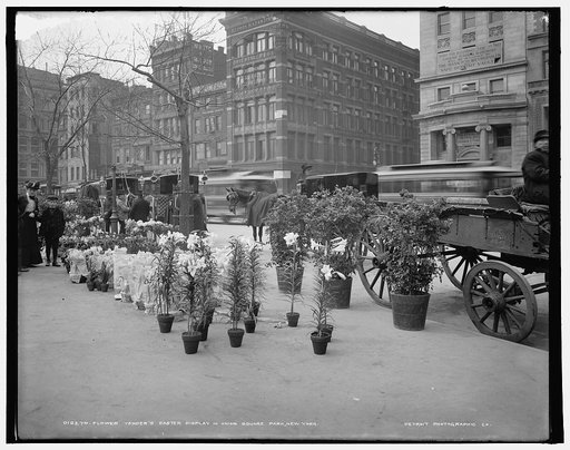 Flower vender's [i.e. vendor's] Easter display in Union Square Park, New York