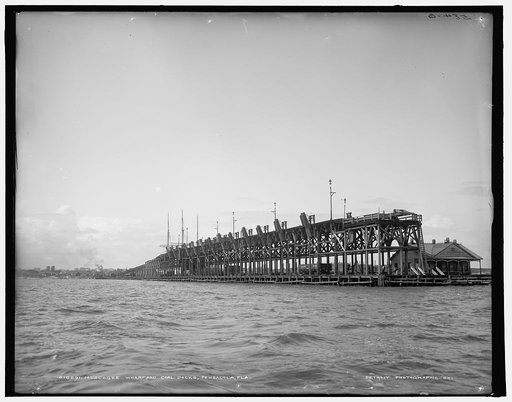 Muscogee Wharf and coal docks, Pensacola, Fla.