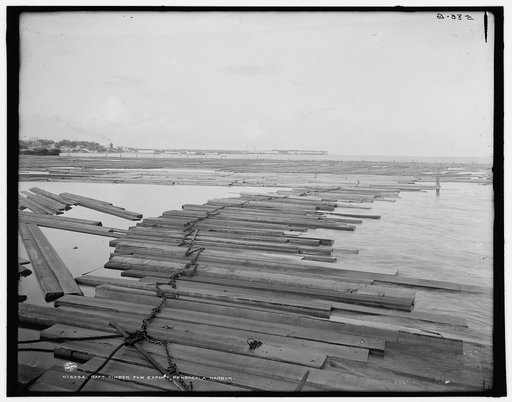 Raft timber for export, Pensacola Harbor