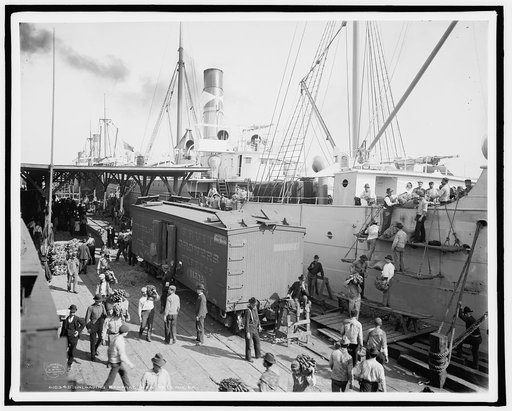 Unloading bananas, New Orleans, La.