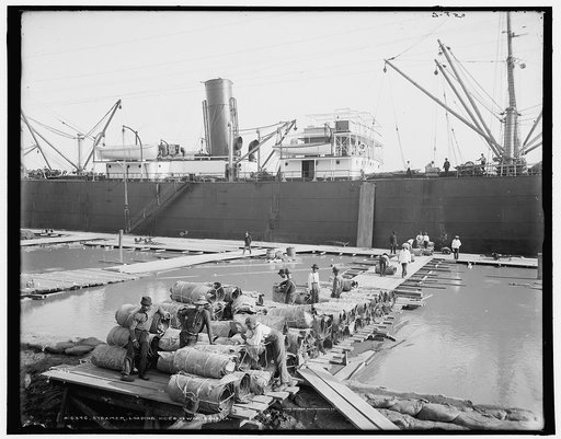 Steamer loading hides, New Orleans, La.