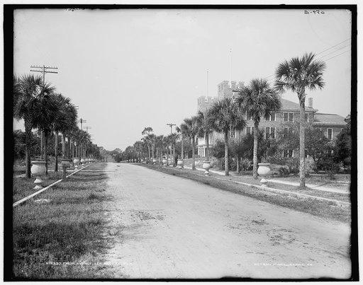 Palm Avenue, Sea Breeze, [i.e. Seabreeze] Fla.