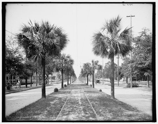 Main Street, Jacksonville, Fla.