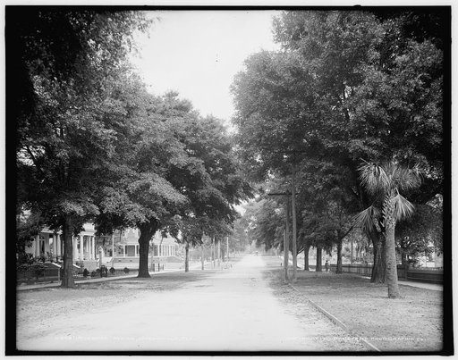 Riverside Avenue, Jacksonville, Fla.