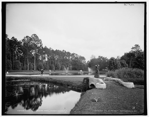 View in Riverside Park, Jacksonville, Fla.