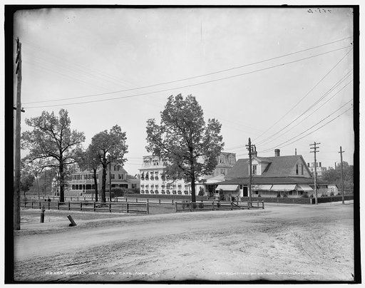 Wilcox's [i.e. Willcox's] hotel and cafe, Aiken, S.C.