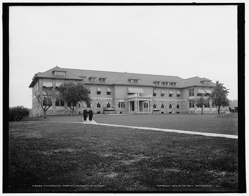 Homeopathic hospital, University of Michigan