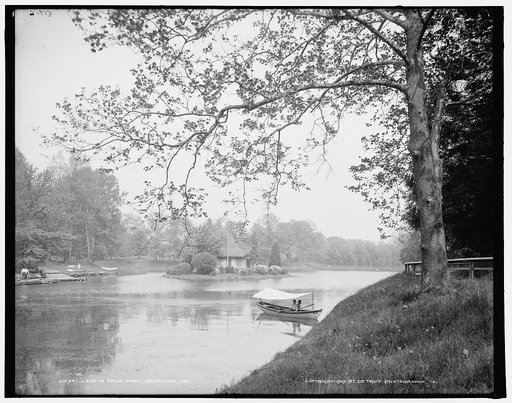 Lake in Druid Park, Baltimore, Md.