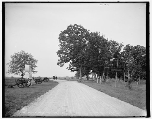 Reynold [i.e. Reynolds] grove, Gettysburg
