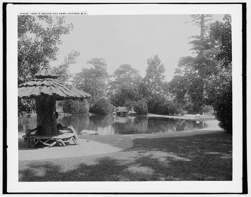 Lake in Beacon Hill Park, Victoria, B.C.