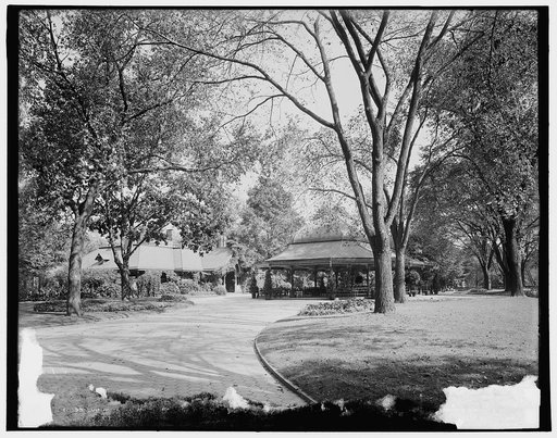 View in Prospect Park, Brooklyn, N.Y.