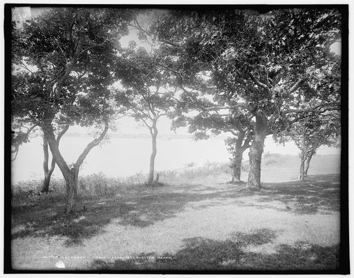 Greenport from Manhansett [i.e. Manhanset], Shelter Island