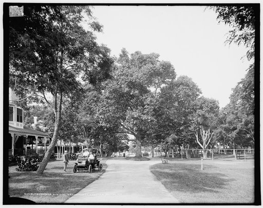 Patchoque Avenue, Manhansett [i.e. Manhanset], Shelter Island, N.Y.
