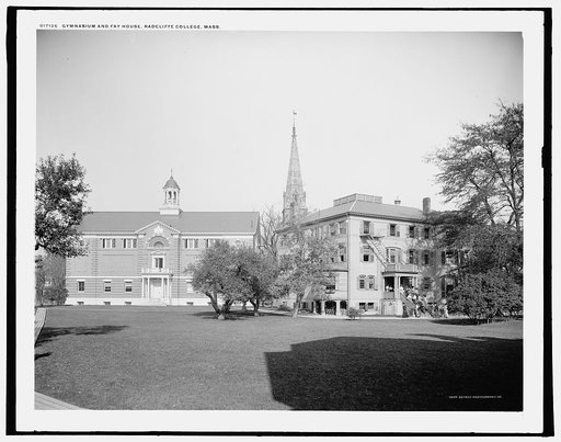 Gymnasium and Fay House, Radcliffe College, Mass.