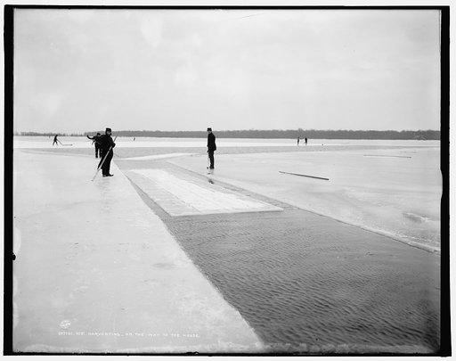 Ice harvesting, on the way to the house